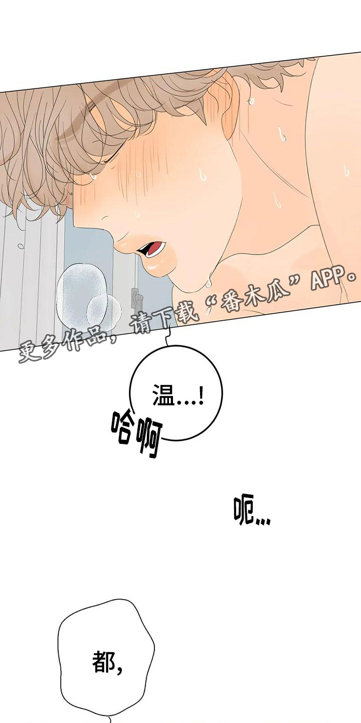 《相爱的每天》漫画最新章节第15章：最爱的人免费下拉式在线观看章节第【36】张图片