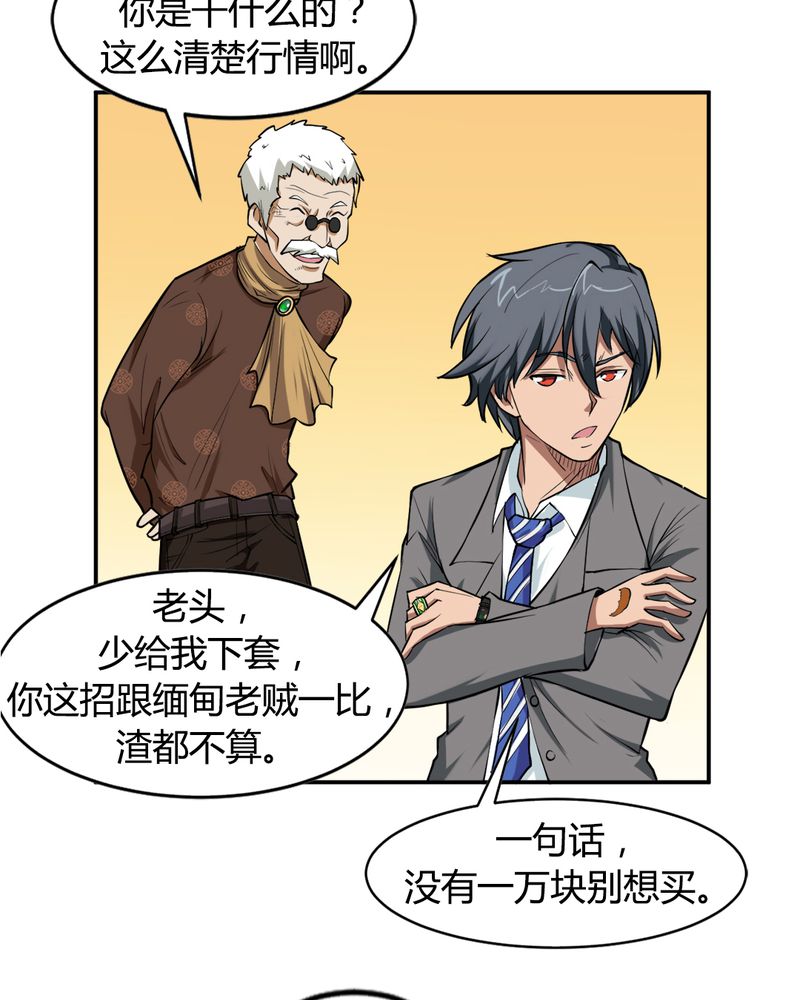 《极品透视》漫画最新章节第2章：赌石免费下拉式在线观看章节第【9】张图片