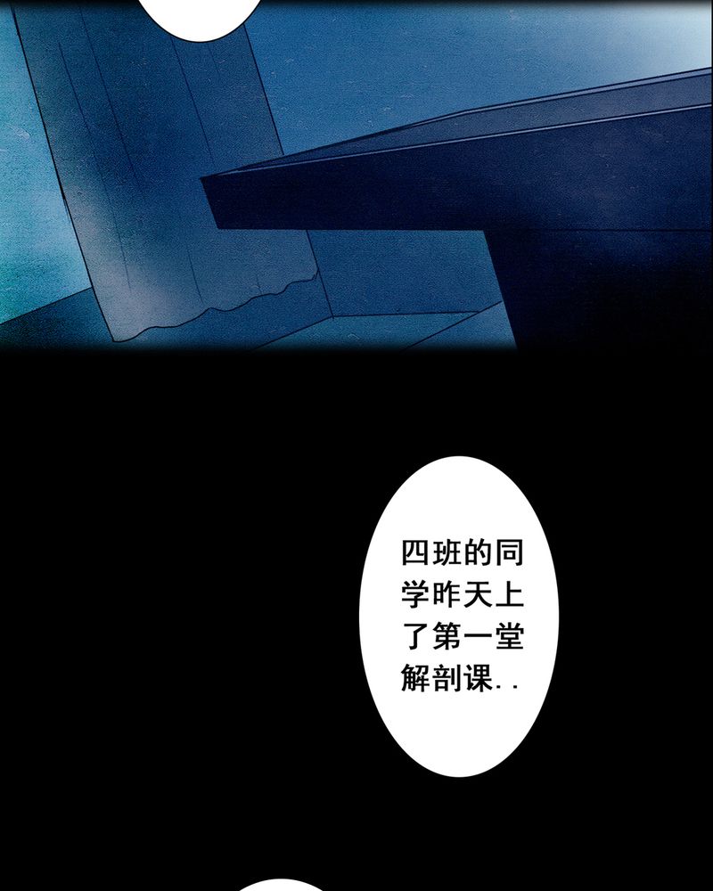 《尸间断》漫画最新章节第3章：解剖（三）免费下拉式在线观看章节第【11】张图片