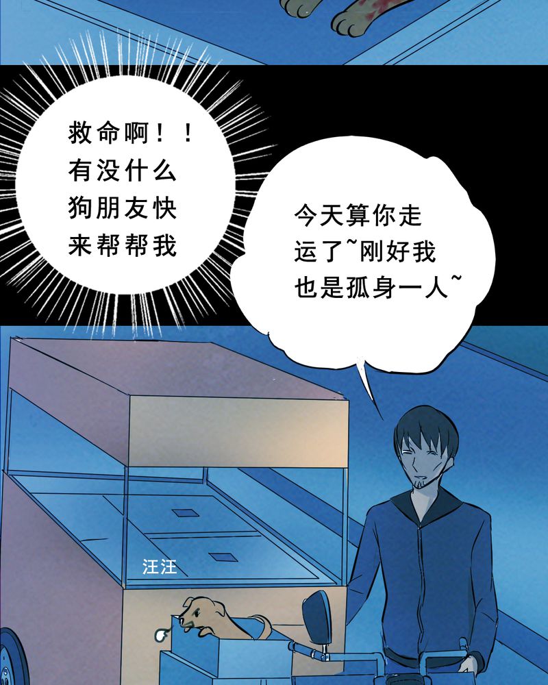 《尸间断》漫画最新章节第27章：小笨（三）免费下拉式在线观看章节第【82】张图片