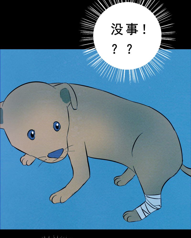 《尸间断》漫画最新章节第27章：小笨（三）免费下拉式在线观看章节第【62】张图片