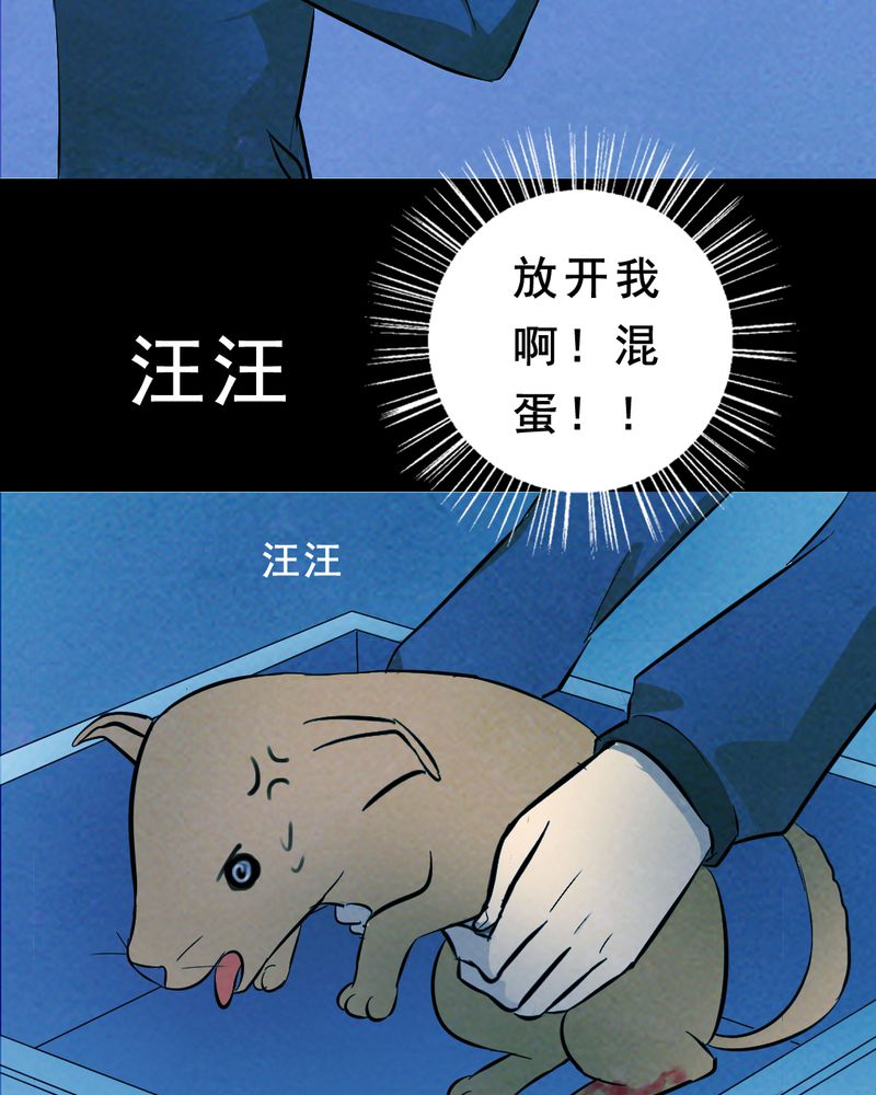 《尸间断》漫画最新章节第27章：小笨（三）免费下拉式在线观看章节第【83】张图片