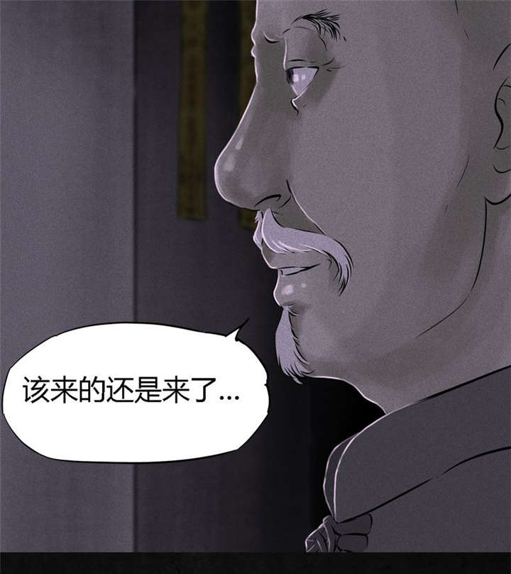 《成都1995》漫画最新章节第24章：公元1862年免费下拉式在线观看章节第【69】张图片