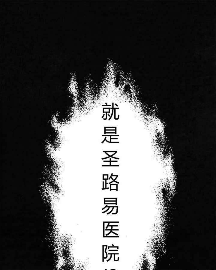 《成都1995》漫画最新章节第44章：圣路易医院免费下拉式在线观看章节第【51】张图片