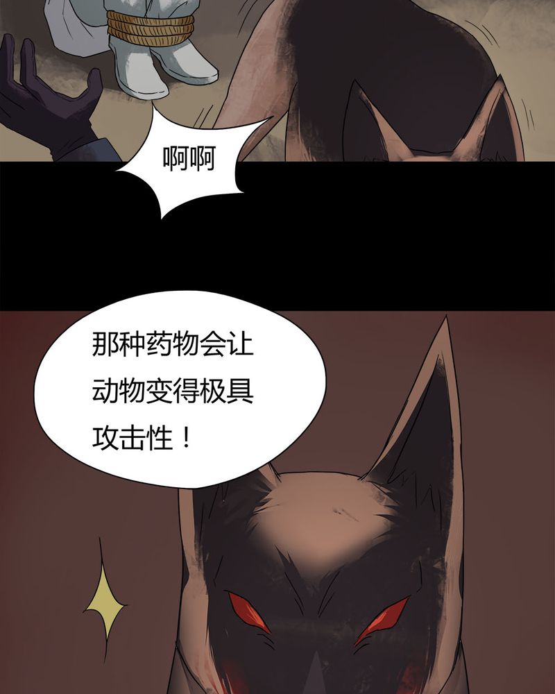 《诡中有诡》漫画最新章节第27章：十恶生肖（下）免费下拉式在线观看章节第【5】张图片