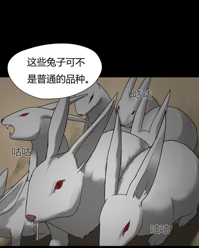 《诡中有诡》漫画最新章节第27章：十恶生肖（下）免费下拉式在线观看章节第【20】张图片