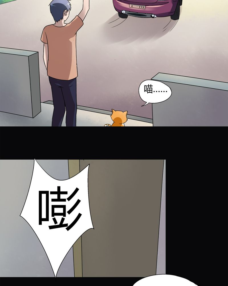 《诡中有诡》漫画最新章节第68章：茹猫饮血（上）免费下拉式在线观看章节第【14】张图片