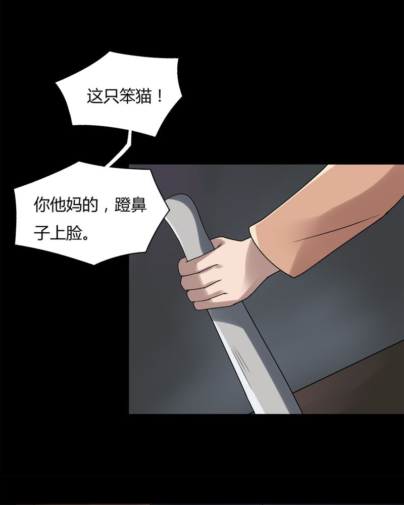 《诡中有诡》漫画最新章节第68章：茹猫饮血（上）免费下拉式在线观看章节第【5】张图片