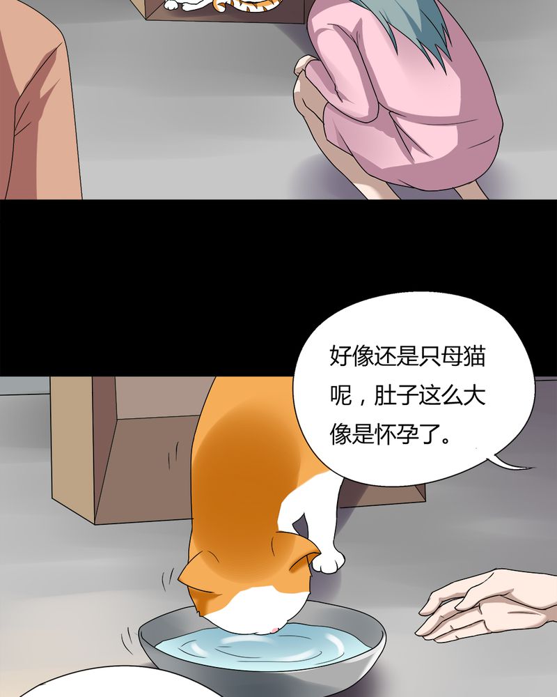 《诡中有诡》漫画最新章节第68章：茹猫饮血（上）免费下拉式在线观看章节第【27】张图片