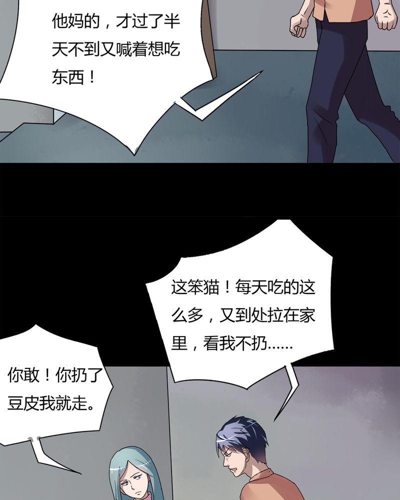 《诡中有诡》漫画最新章节第68章：茹猫饮血（上）免费下拉式在线观看章节第【20】张图片