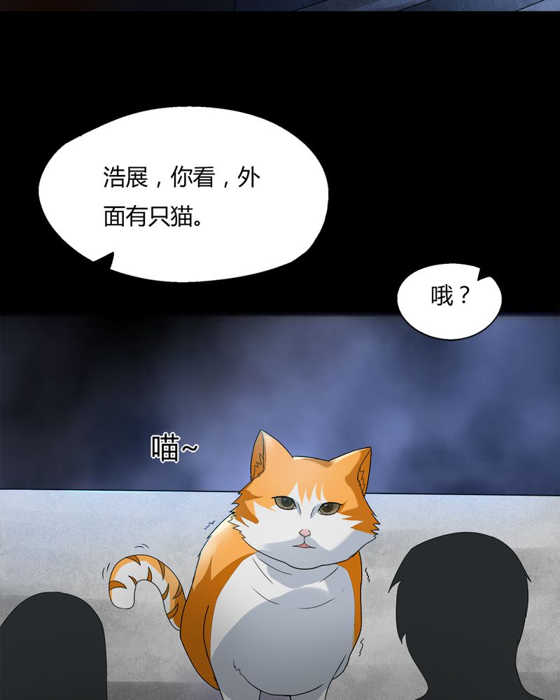 《诡中有诡》漫画最新章节第68章：茹猫饮血（上）免费下拉式在线观看章节第【30】张图片