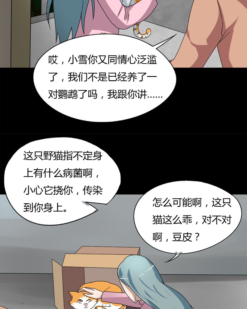 《诡中有诡》漫画最新章节第68章：茹猫饮血（上）免费下拉式在线观看章节第【28】张图片