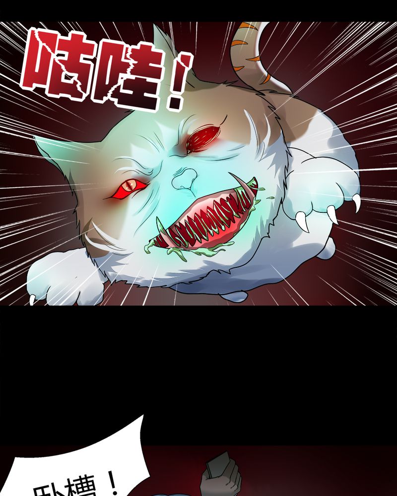 《诡中有诡》漫画最新章节第69章：茹猫饮血（下）免费下拉式在线观看章节第【16】张图片