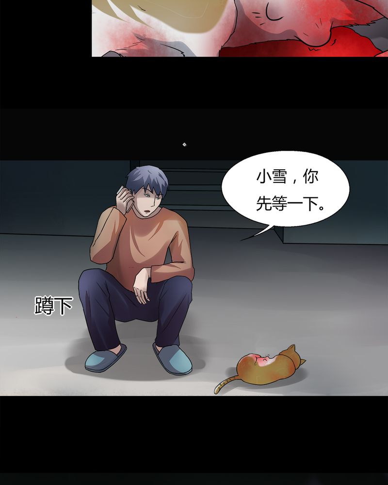 《诡中有诡》漫画最新章节第69章：茹猫饮血（下）免费下拉式在线观看章节第【9】张图片