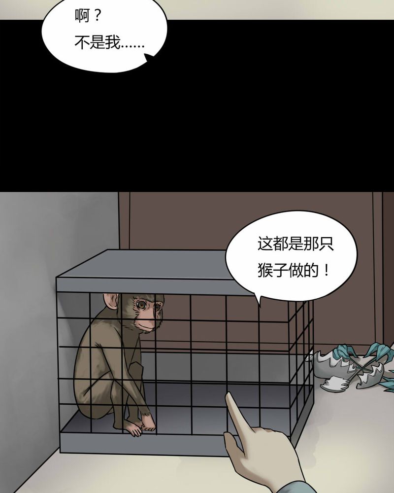 《诡中有诡》漫画最新章节第85章：猴知猴觉（下）免费下拉式在线观看章节第【29】张图片