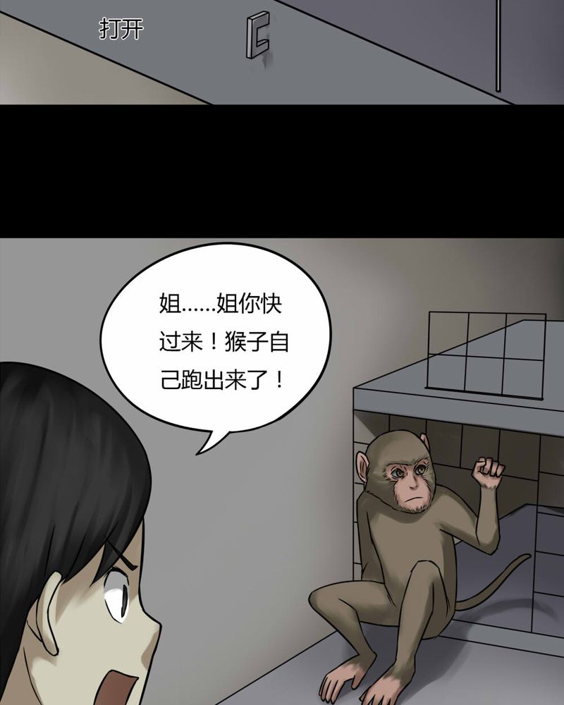 诡中有诡-第85章：猴知猴觉（下）全彩韩漫标签