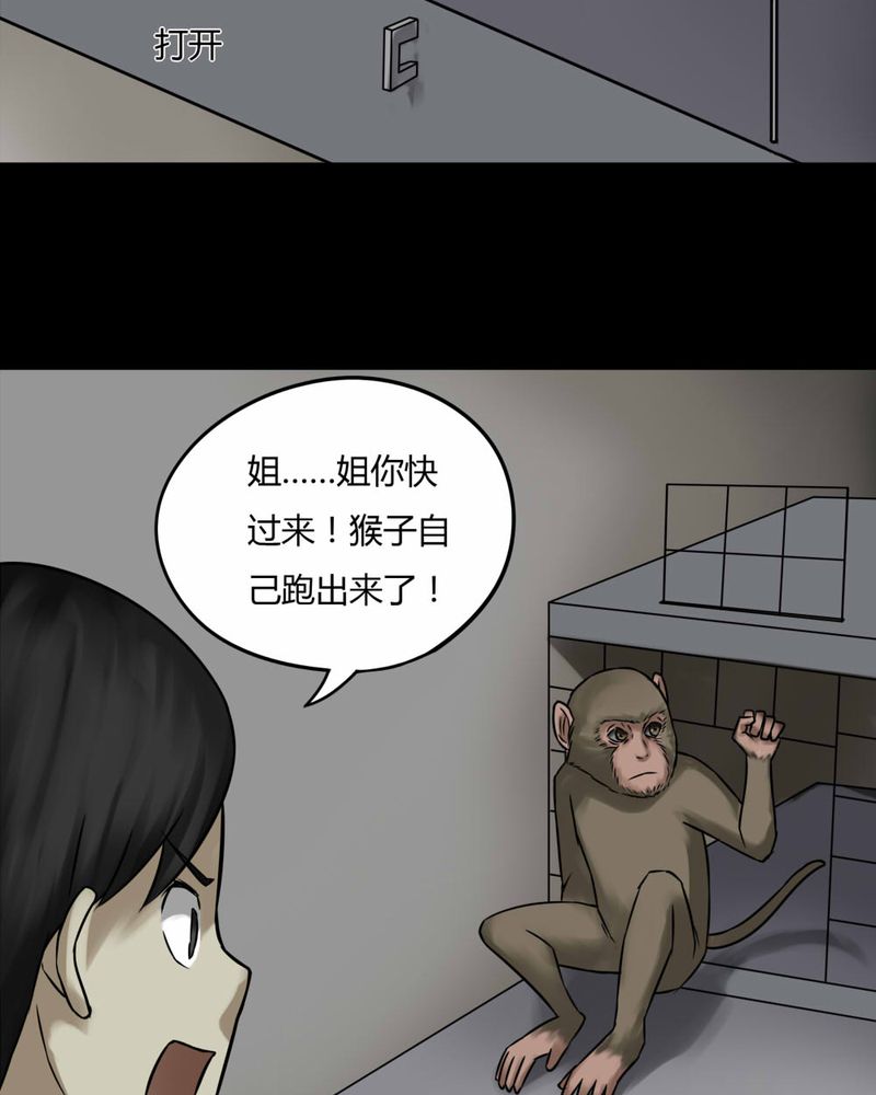 《诡中有诡》漫画最新章节第85章：猴知猴觉（下）免费下拉式在线观看章节第【34】张图片