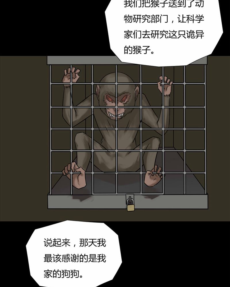 《诡中有诡》漫画最新章节第85章：猴知猴觉（下）免费下拉式在线观看章节第【5】张图片