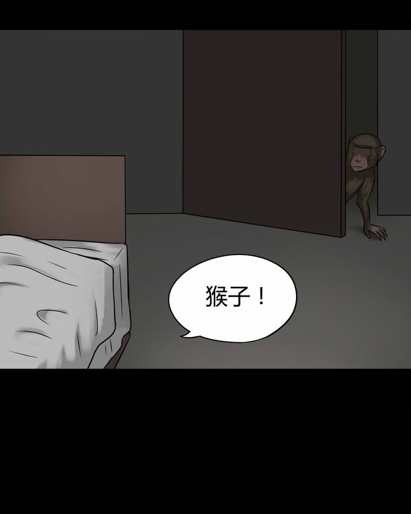 《诡中有诡》漫画最新章节第85章：猴知猴觉（下）免费下拉式在线观看章节第【21】张图片