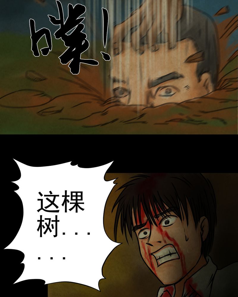 《怪谭新说》漫画最新章节第9章：长生树（下）免费下拉式在线观看章节第【15】张图片