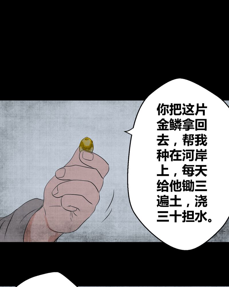 《怪谭新说》漫画最新章节第19章：金鳞劫（上）免费下拉式在线观看章节第【3】张图片