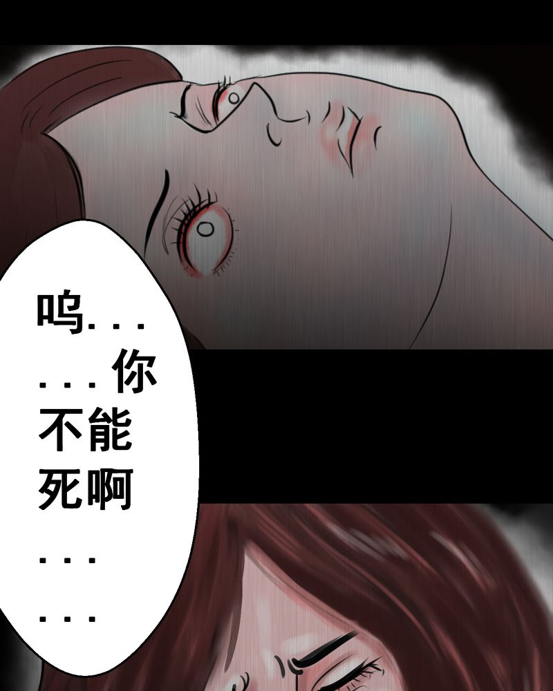 《怪谭新说》漫画最新章节第25章：双生花（结局）免费下拉式在线观看章节第【20】张图片