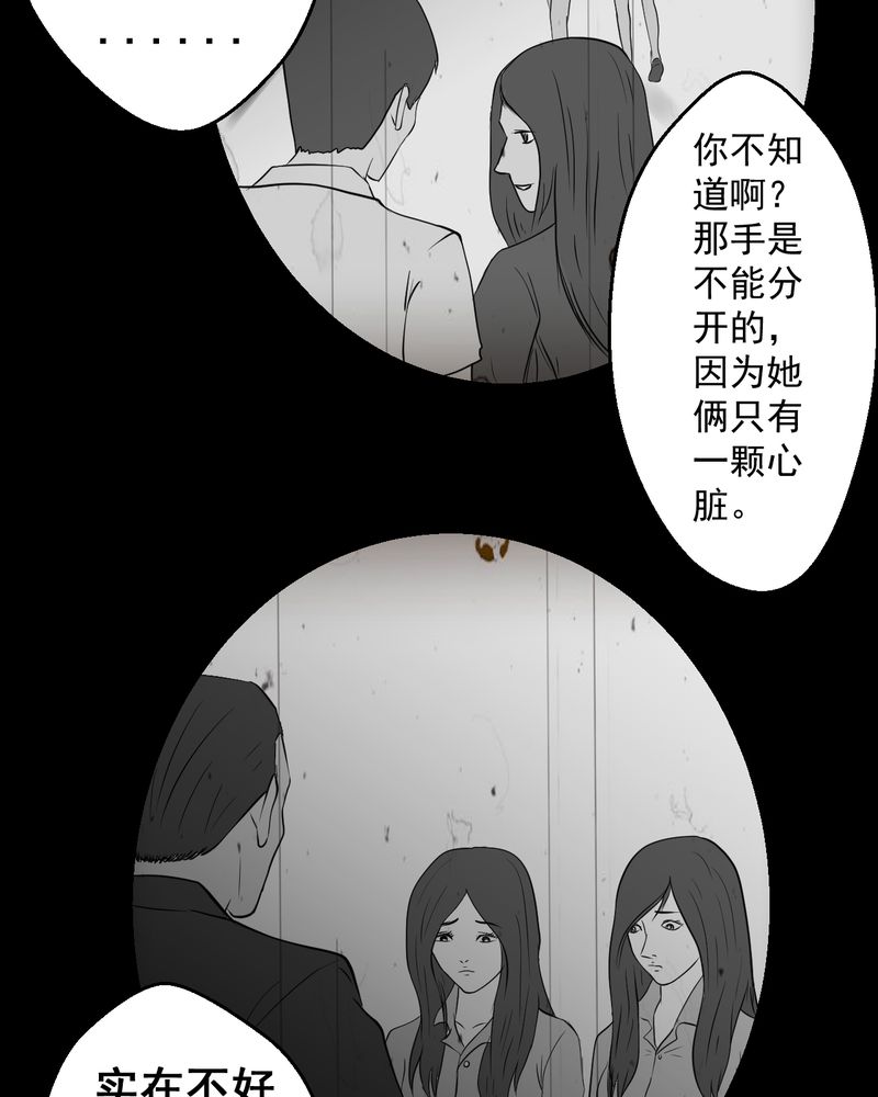 《怪谭新说》漫画最新章节第25章：双生花（结局）免费下拉式在线观看章节第【52】张图片