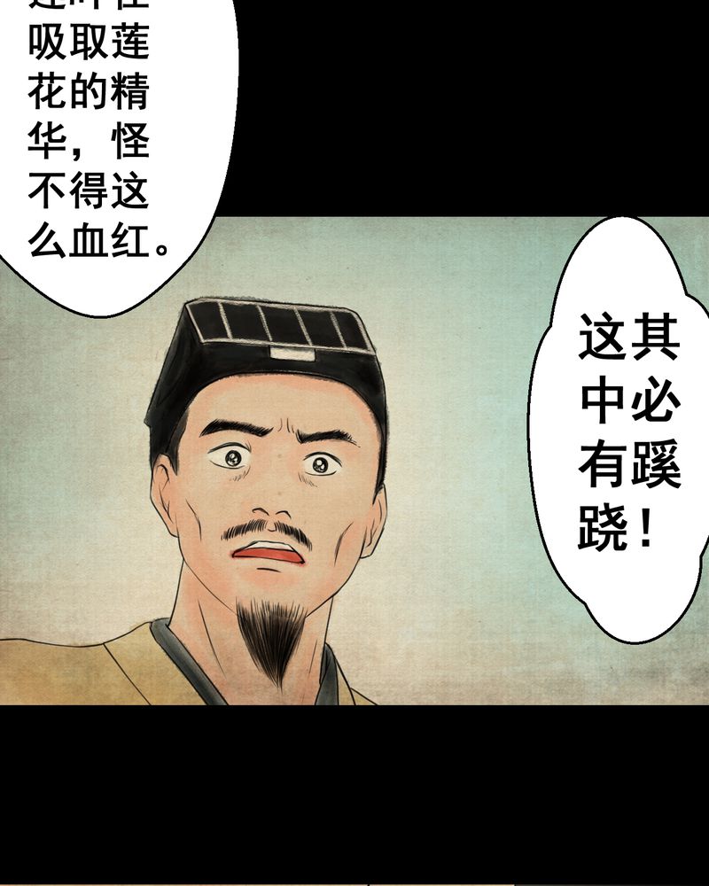 《怪谭新说》漫画最新章节第29章：并蒂莲（一）免费下拉式在线观看章节第【19】张图片