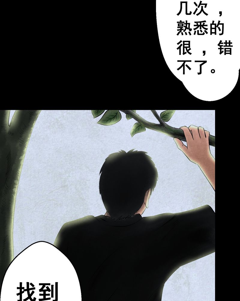 《怪谭新说》漫画最新章节第45章：雷公花-今生（上）免费下拉式在线观看章节第【37】张图片