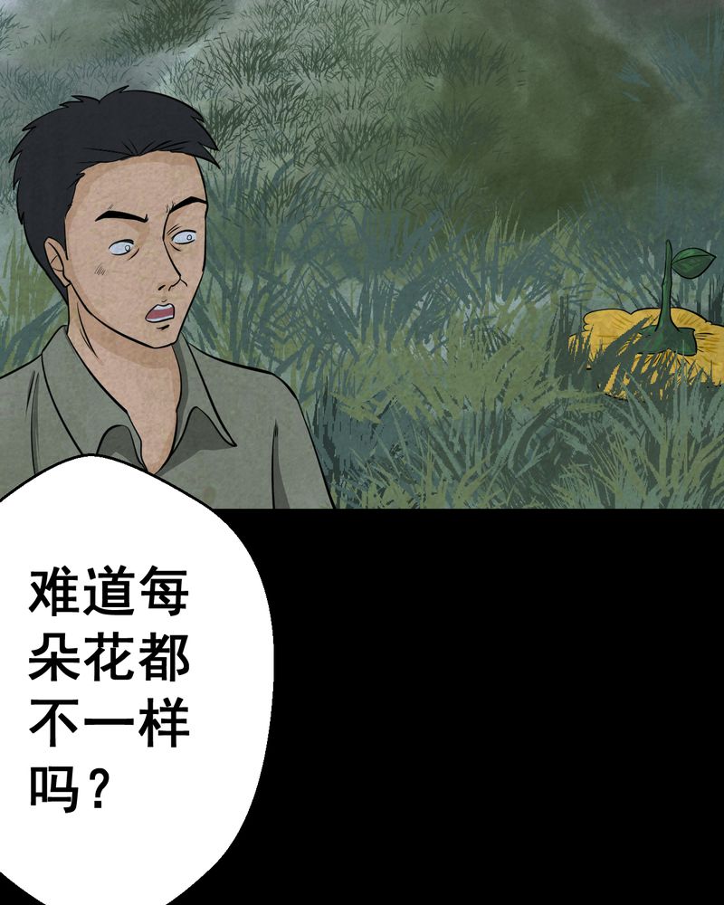 《怪谭新说》漫画最新章节第45章：雷公花-今生（上）免费下拉式在线观看章节第【14】张图片