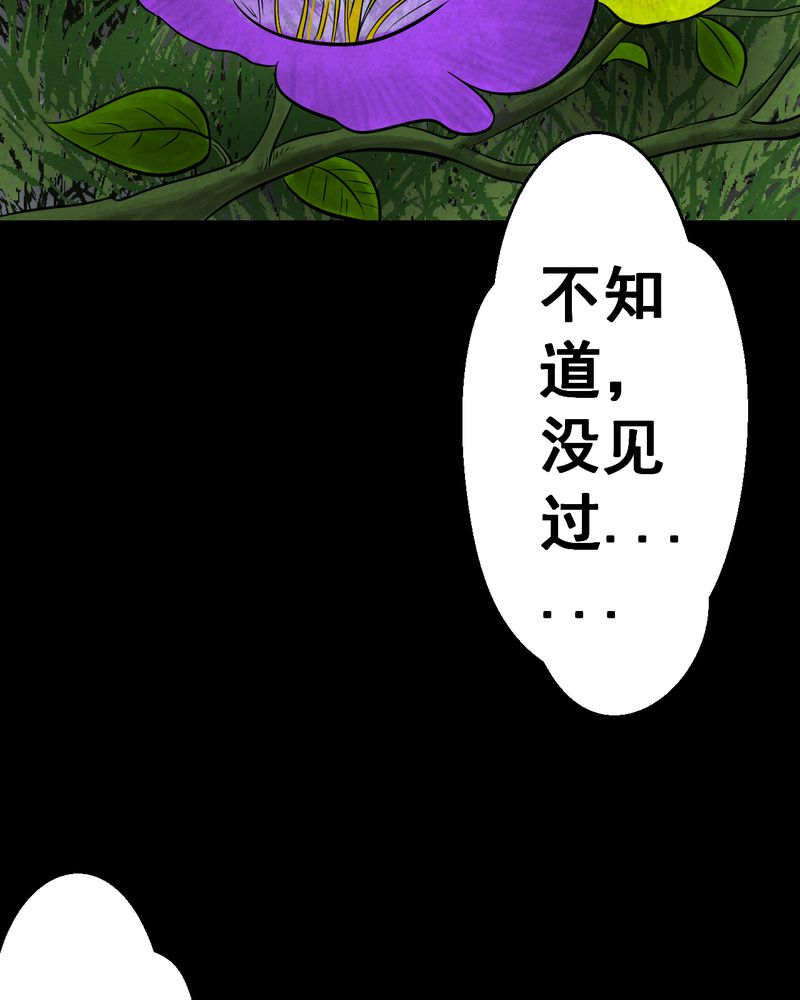 《怪谭新说》漫画最新章节第45章：雷公花-今生（上）免费下拉式在线观看章节第【22】张图片