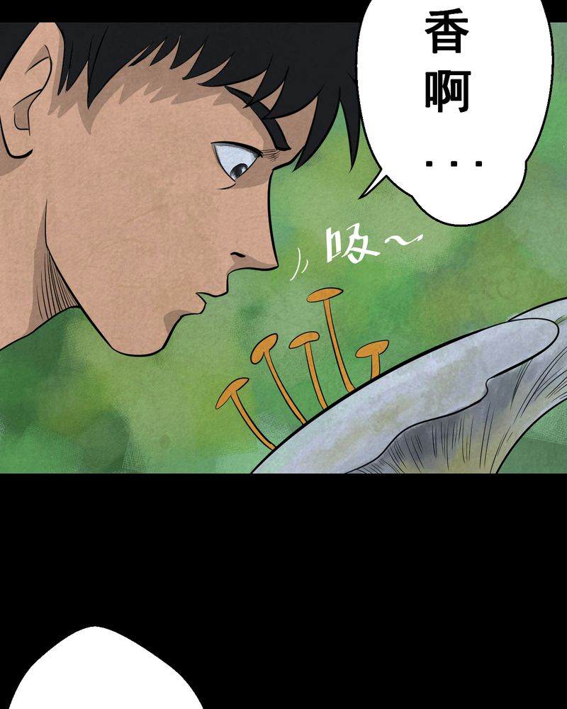 《怪谭新说》漫画最新章节第45章：雷公花-今生（上）免费下拉式在线观看章节第【20】张图片