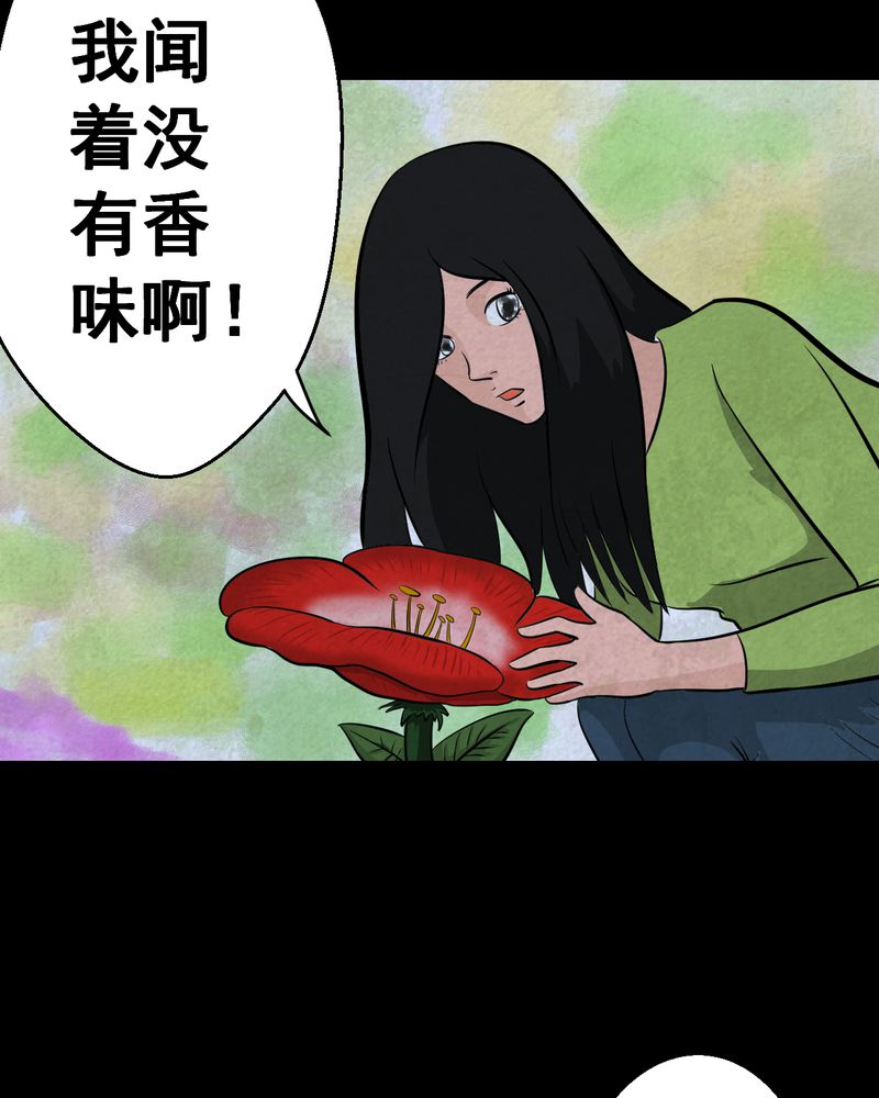 《怪谭新说》漫画最新章节第45章：雷公花-今生（上）免费下拉式在线观看章节第【19】张图片