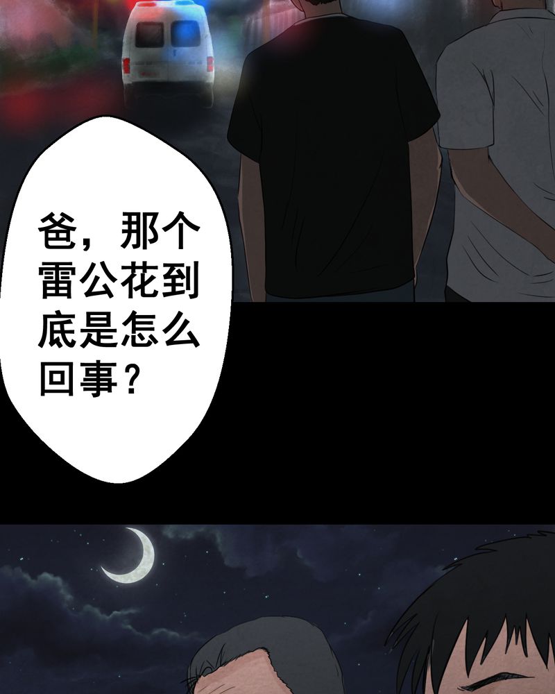 《怪谭新说》漫画最新章节第46章：雷公花-今生（下）免费下拉式在线观看章节第【4】张图片