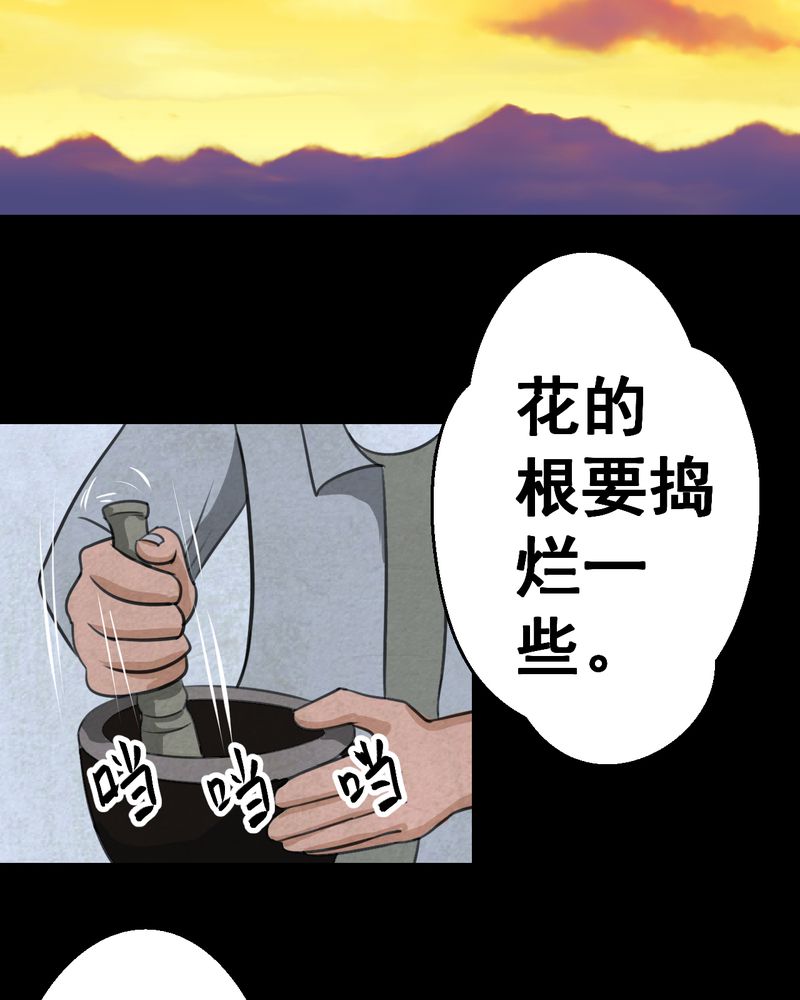 《怪谭新说》漫画最新章节第46章：雷公花-今生（下）免费下拉式在线观看章节第【20】张图片