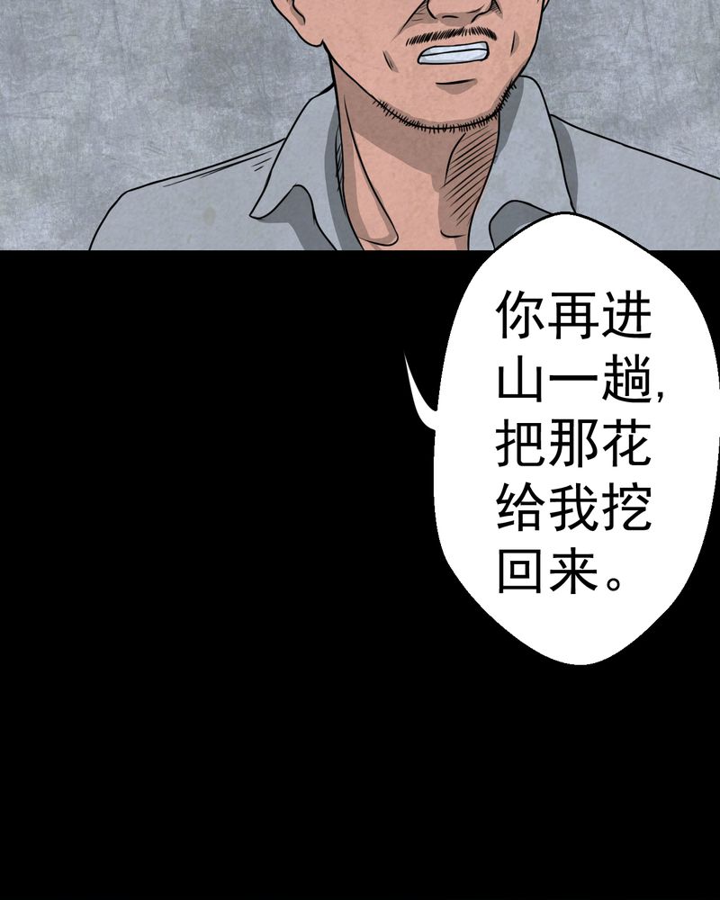 《怪谭新说》漫画最新章节第46章：雷公花-今生（下）免费下拉式在线观看章节第【28】张图片