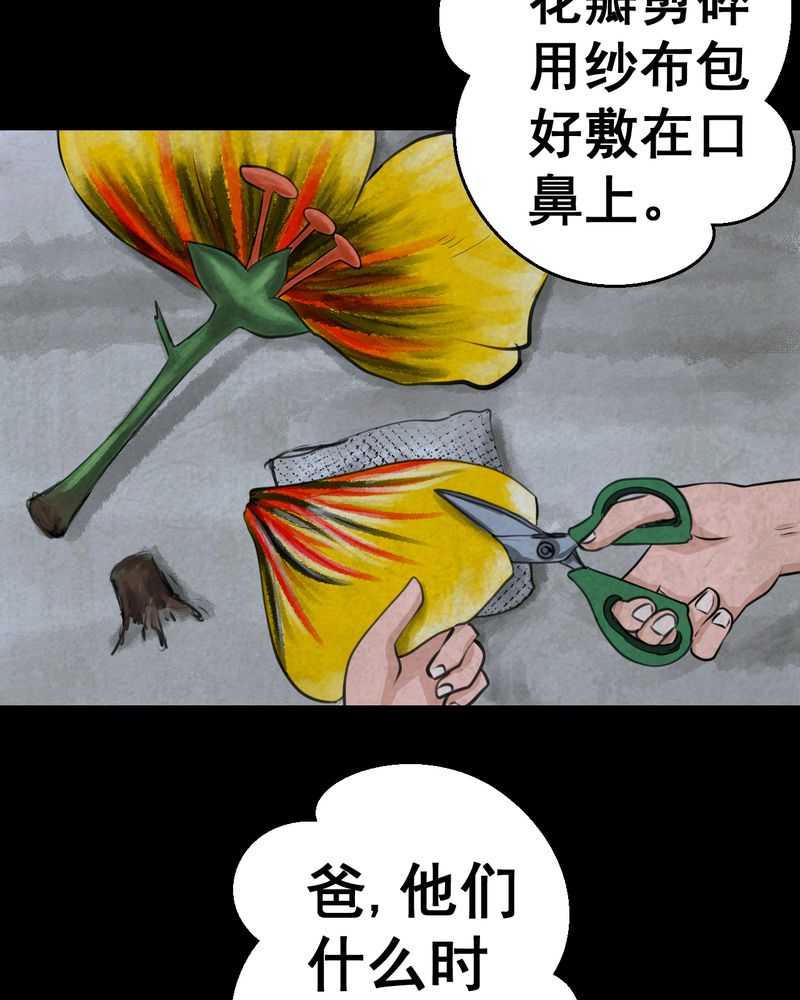 《怪谭新说》漫画最新章节第46章：雷公花-今生（下）免费下拉式在线观看章节第【17】张图片