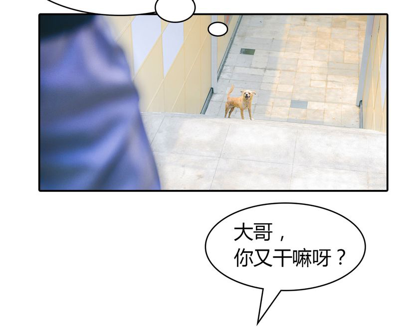 《合约有毒》漫画最新章节第4章：逃学有毒免费下拉式在线观看章节第【29】张图片