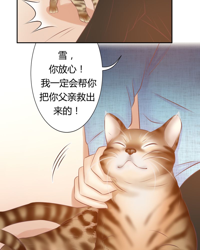 《契约凤凰男》漫画最新章节第17章：王科表心意免费下拉式在线观看章节第【8】张图片