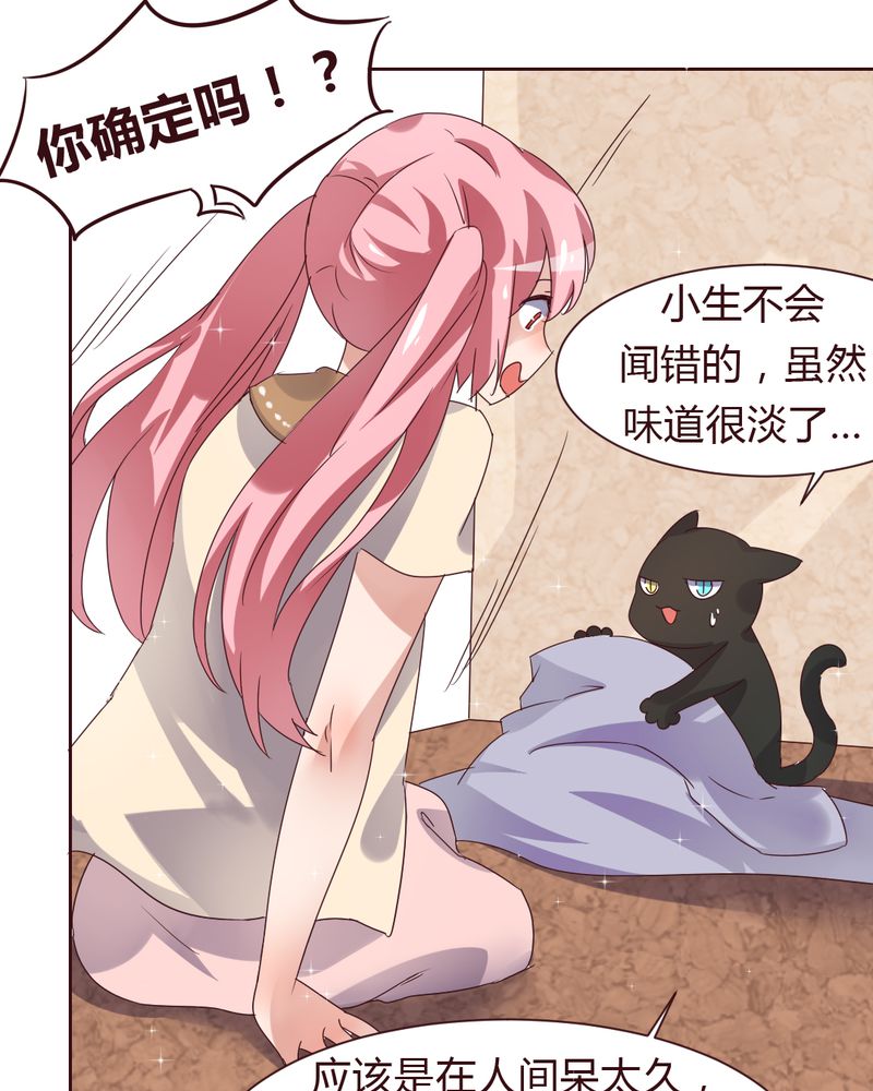 《我的鬼娃娇妻》漫画最新章节第37章：少妖主的新用法免费下拉式在线观看章节第【8】张图片