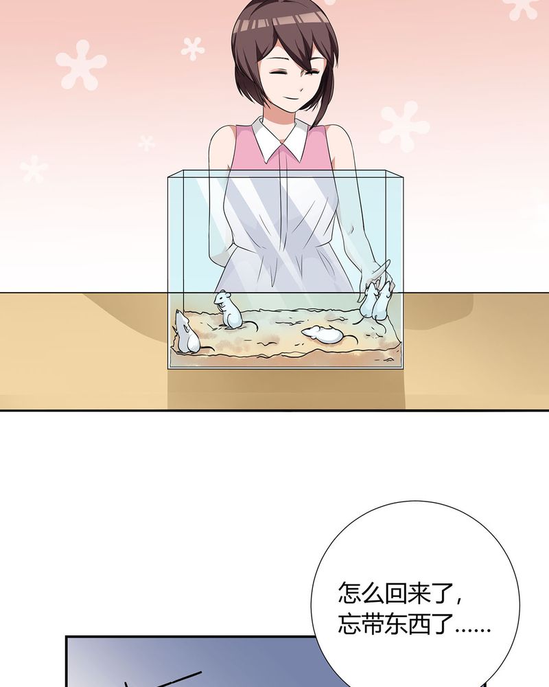 《恰恰香返》漫画最新章节第19章：queewn遭市场抛弃 恰恰更新上市免费下拉式在线观看章节第【14】张图片