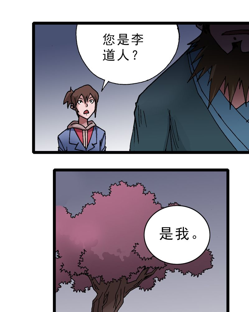 《不可思议少年》漫画最新章节第11章：李道人免费下拉式在线观看章节第【7】张图片