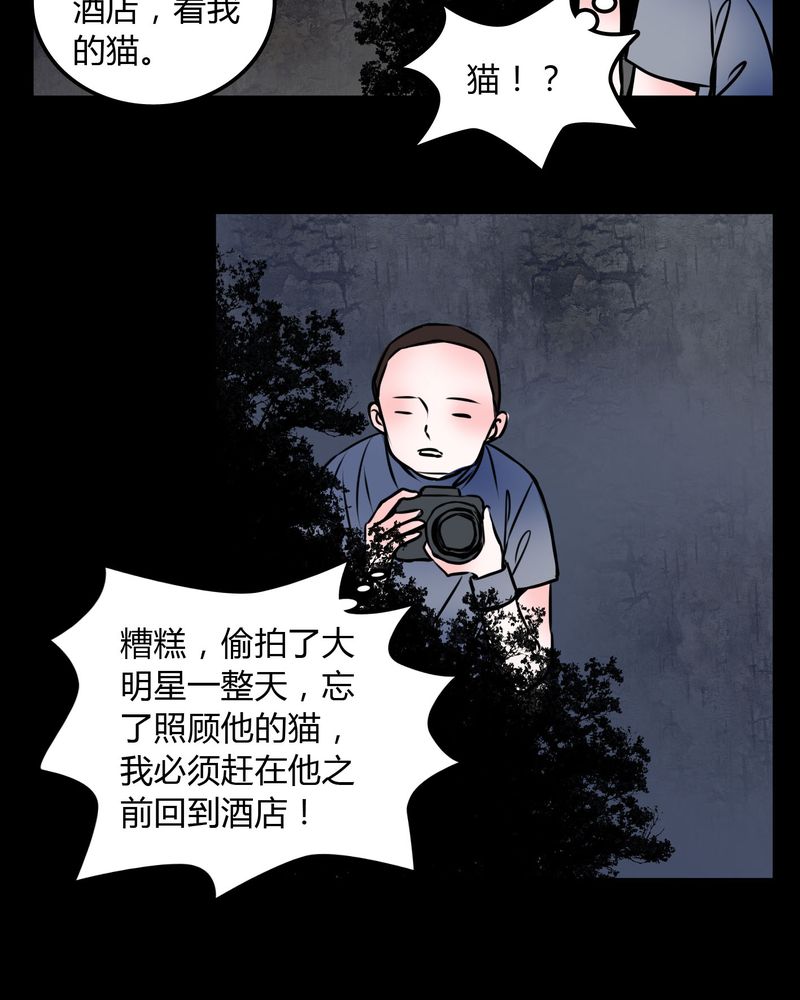 《女巫重生记》漫画最新章节第59章：流浪猫免费下拉式在线观看章节第【11】张图片