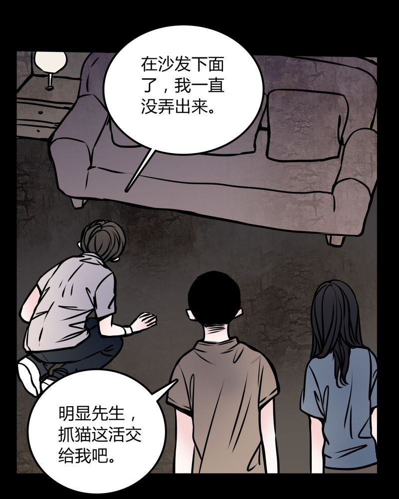 《女巫重生记》漫画最新章节第59章：流浪猫免费下拉式在线观看章节第【18】张图片