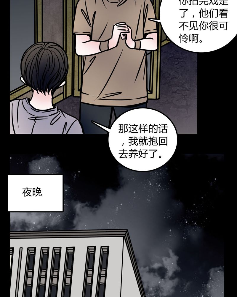 《女巫重生记》漫画最新章节第59章：流浪猫免费下拉式在线观看章节第【22】张图片