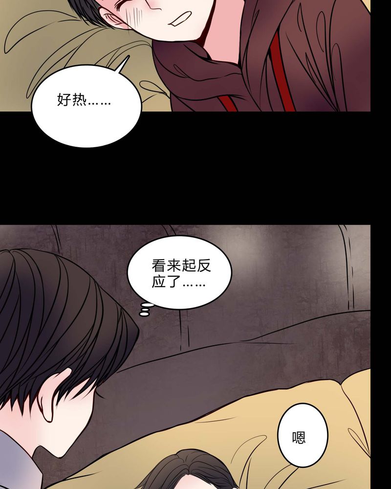 《女巫重生记》漫画最新章节第76章：有反应免费下拉式在线观看章节第【15】张图片