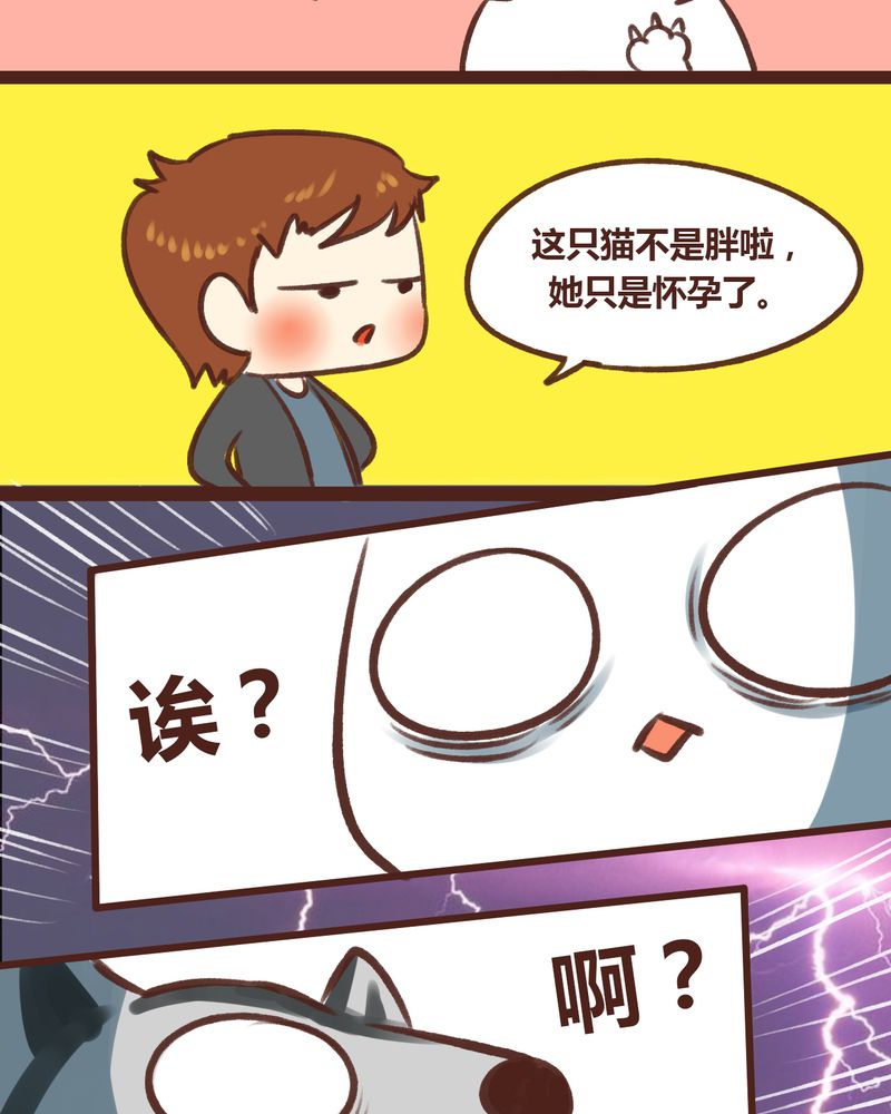 《神兽退散》漫画最新章节第17章：免费下拉式在线观看章节第【14】张图片