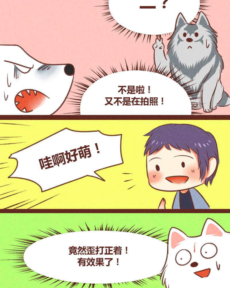 《神兽退散》漫画最新章节第31章：免费下拉式在线观看章节第【12】张图片