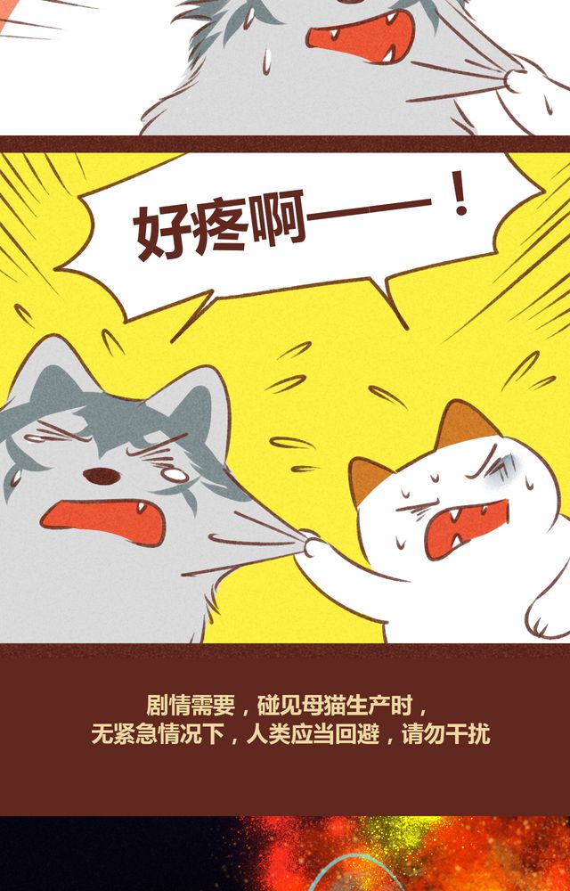 《神兽退散》漫画最新章节第61章：免费下拉式在线观看章节第【13】张图片