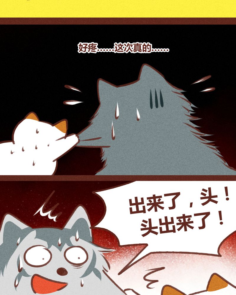 《神兽退散》漫画最新章节第62章：免费下拉式在线观看章节第【17】张图片